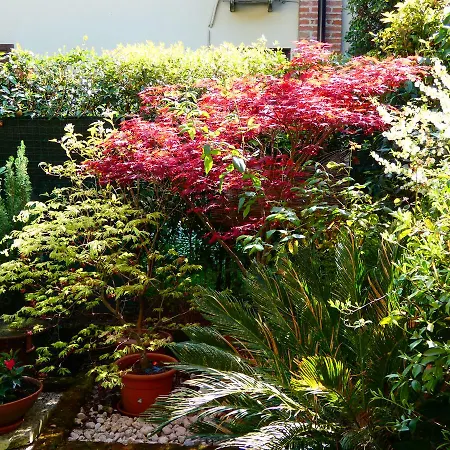 Apartment Garden Sweet House Desenzano Desenzano del Garda